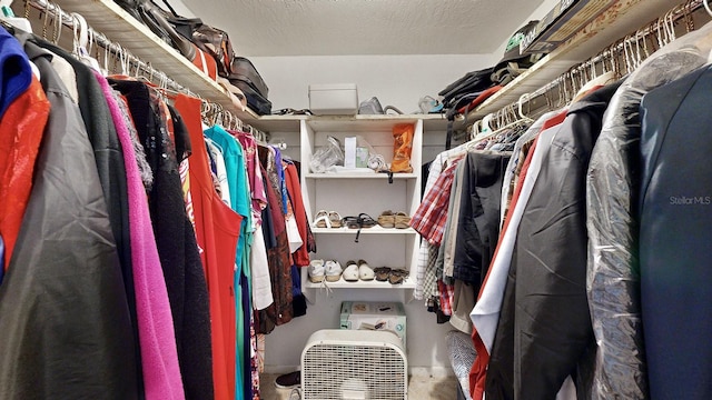 view of spacious closet