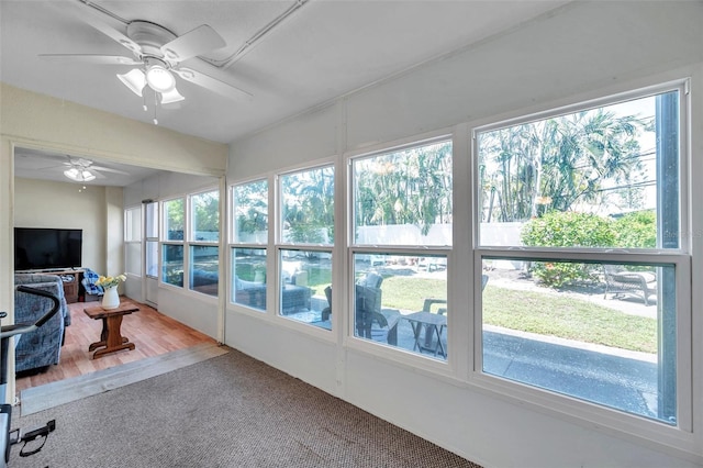 sunroom with carpet flooring