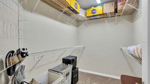 spacious closet with carpet