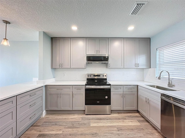 kitchen featuring pendant lighting, stainless steel appliances, light hardwood / wood-style floors, and sink