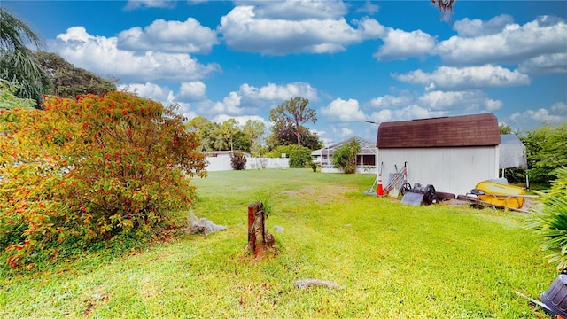 view of yard with a storage shed