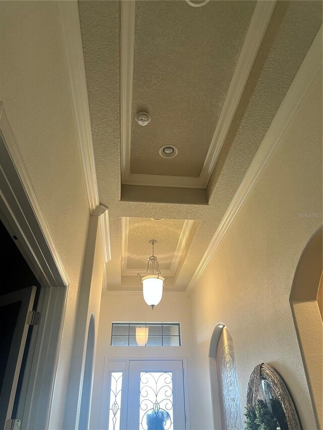 details featuring a tray ceiling and ornamental molding