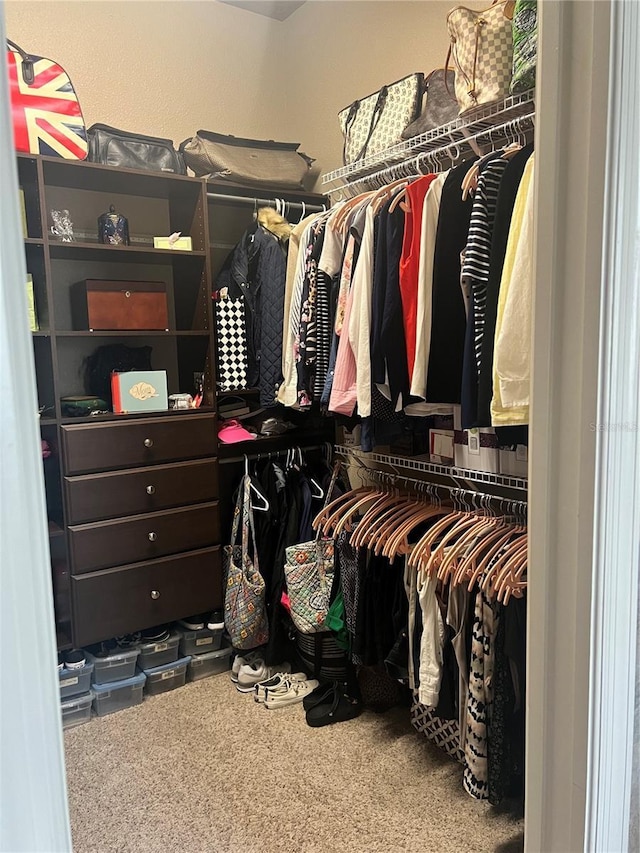 spacious closet with carpet