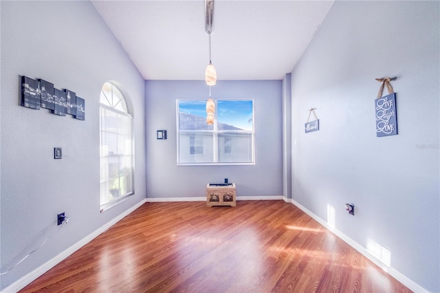 unfurnished dining area with hardwood / wood-style floors