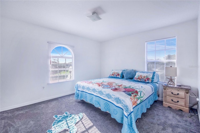 bedroom with multiple windows and carpet floors