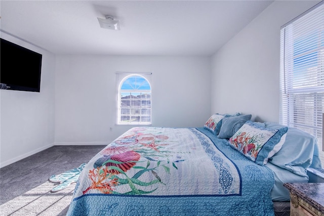 bedroom featuring carpet