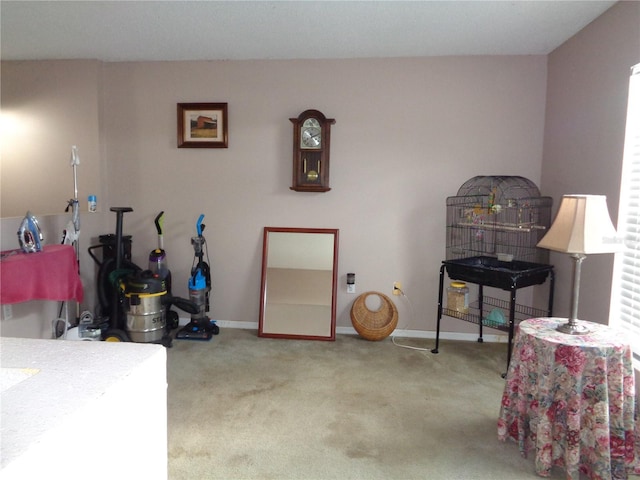 misc room with carpet flooring and baseboards