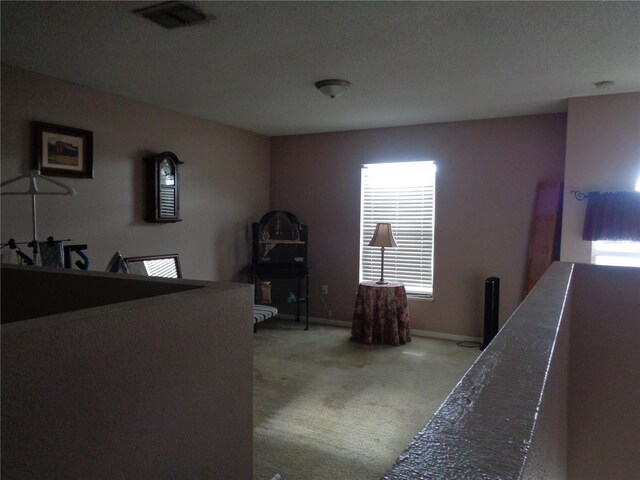 bedroom featuring carpet flooring and multiple windows