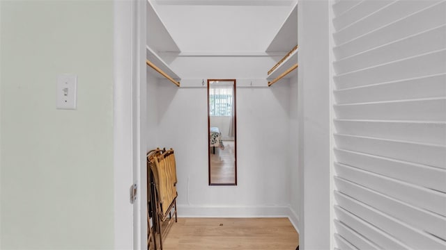 1600 W Lake Parker Dr Unit A2, Lakeland, FL 33805 - walk in closet featuring light wood-style floors