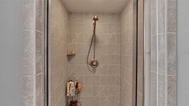 interior details featuring walk in shower