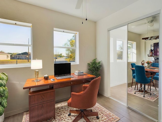 office space with ceiling fan and wood-type flooring