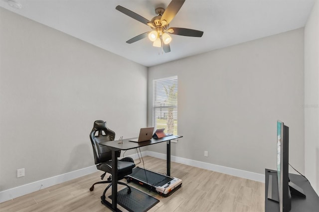 office space featuring light hardwood / wood-style floors and ceiling fan