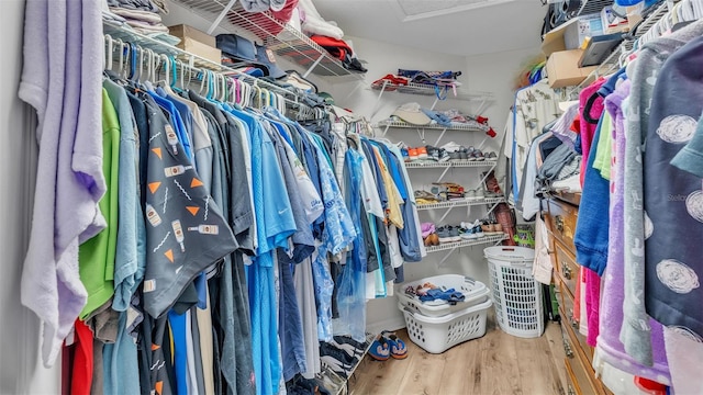 walk in closet with hardwood / wood-style flooring