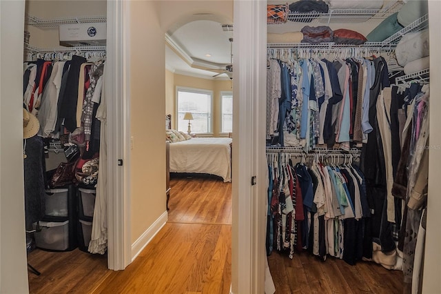 spacious closet with a raised ceiling and wood finished floors
