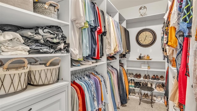 walk in closet with light colored carpet