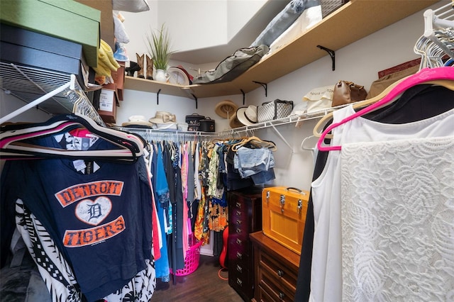 spacious closet featuring dark hardwood / wood-style floors