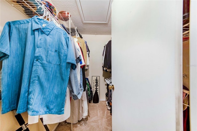 spacious closet with light carpet