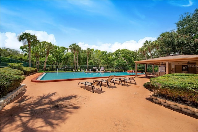 view of pool featuring a patio