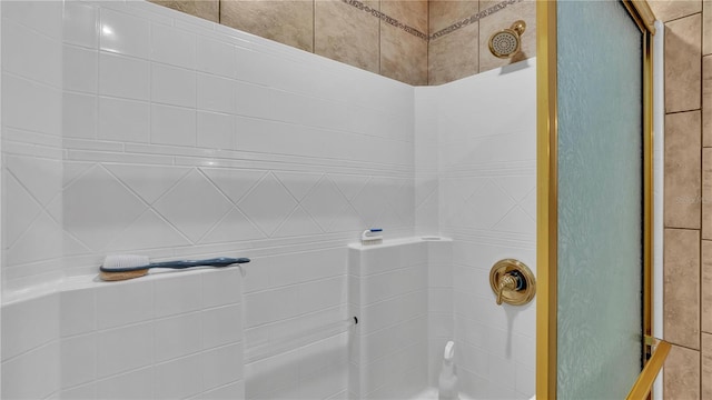7884 N Lake Buffum Shores Rd, Fort Meade, FL 33841 - bathroom featuring tiled shower