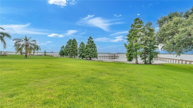 7884 N Lake Buffum Shores Rd, Fort Meade, FL 33841 - view of yard