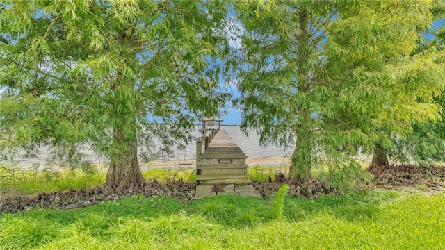 7884 N Lake Buffum Shores Rd, Fort Meade, FL 33841 - view of yard featuring a dock