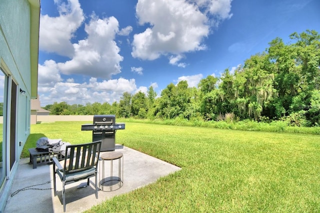 view of yard with a patio area