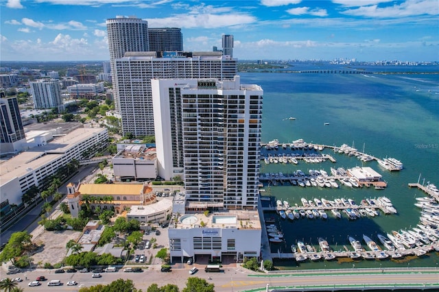 bird's eye view with a water view