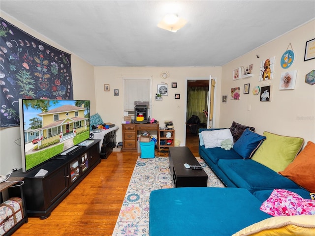 living room with light hardwood / wood-style flooring