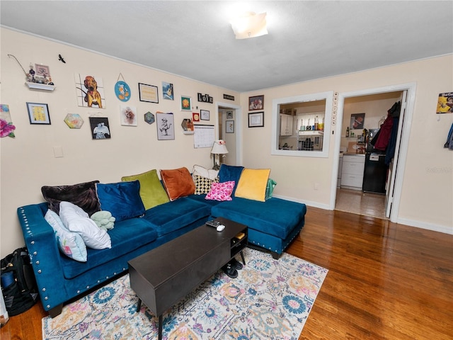 living room with wood-type flooring