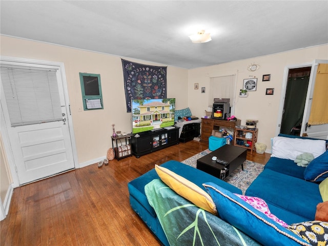living room with wood-type flooring