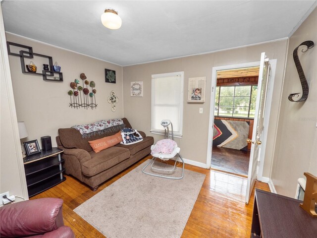 living room with light hardwood / wood-style flooring
