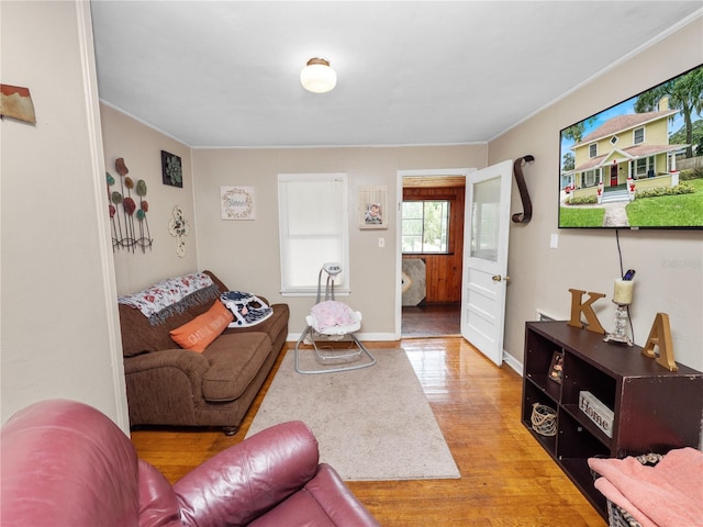 living room with hardwood / wood-style floors