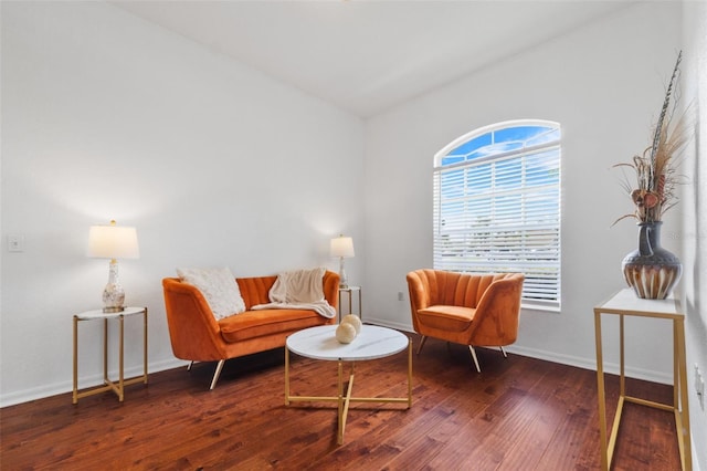 sitting room featuring hardwood / wood-style flooring and lofted ceiling