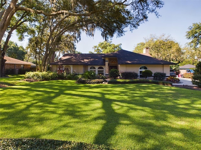 back of house featuring a yard