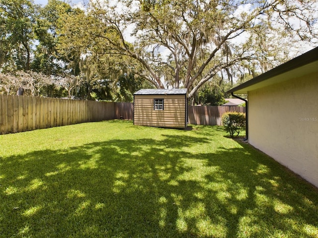 view of yard featuring a shed