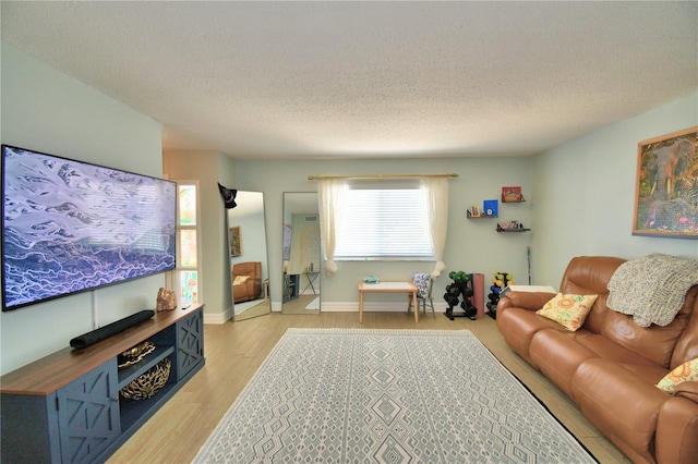 living room with light hardwood / wood-style flooring and a textured ceiling