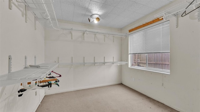 spacious closet featuring light colored carpet