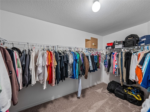 spacious closet with carpet