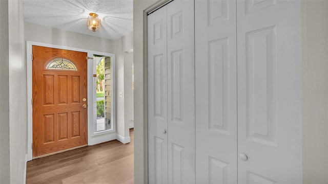 foyer featuring light wood-type flooring, a textured ceiling, and a healthy amount of sunlight