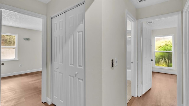 hallway with light hardwood / wood-style flooring and a textured ceiling