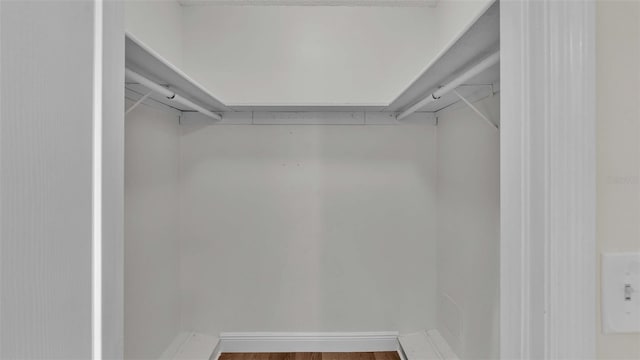 spacious closet with hardwood / wood-style flooring