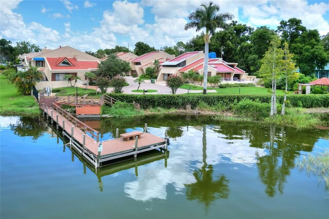 dock area with a water view