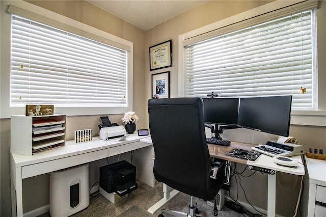 office space featuring carpet flooring and a textured ceiling