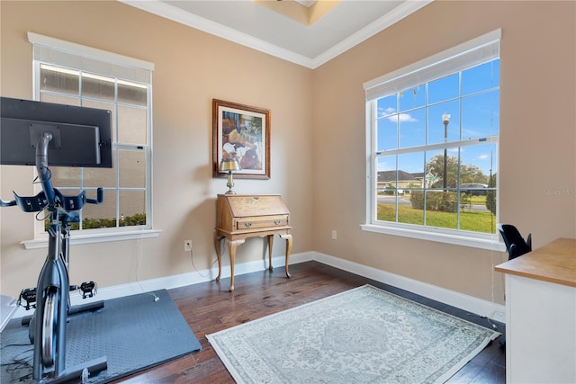 office space with dark hardwood / wood-style flooring and crown molding