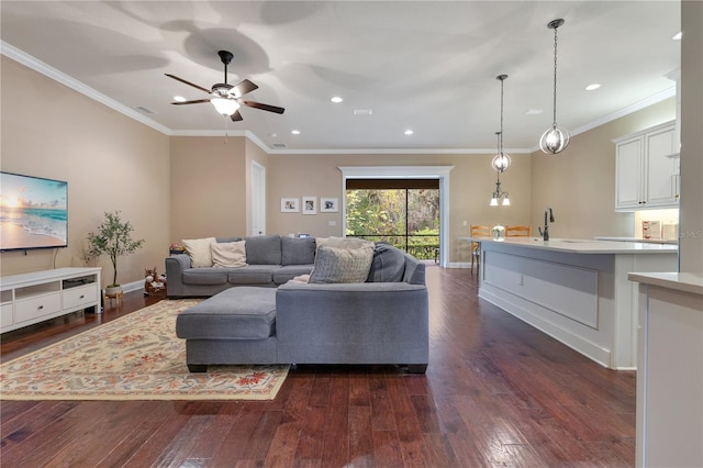 living room featuring dark hardwood / wood-style flooring, ceiling fan, crown molding, and sink