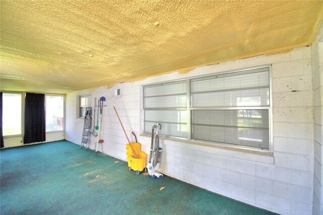 unfurnished room featuring carpet flooring and a textured ceiling