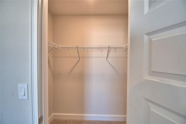 view of walk in closet