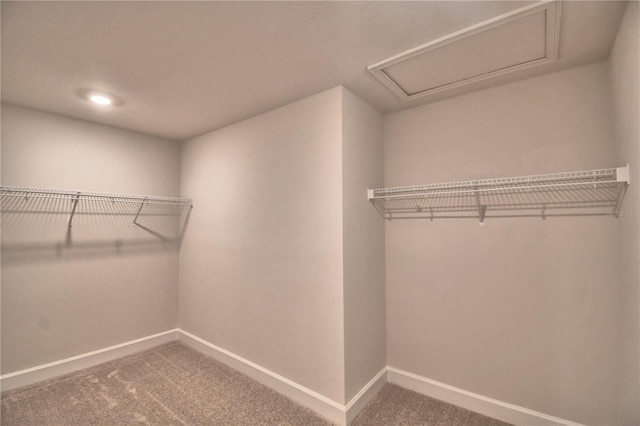 walk in closet featuring carpet flooring