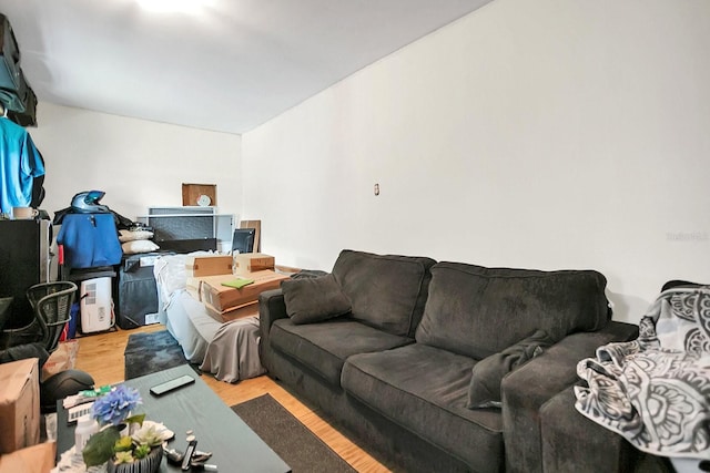 living room featuring light wood-style floors