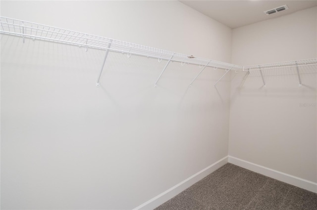 spacious closet with carpet flooring